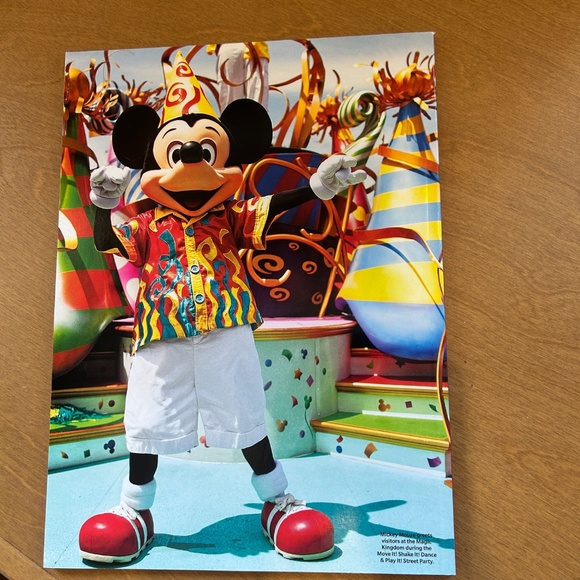 Ultimate Guide to the Disney Parks Updated Special Edition 2020 - Picture 2 of 8